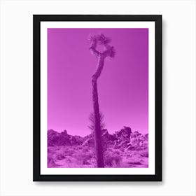 Pink Joshua tress Art Print