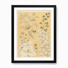 Vintage Flower Pattern, Owen Jones Art Print