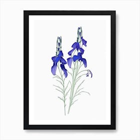 Delphinium Floral Minimal Line Drawing 1 Flower Art Print