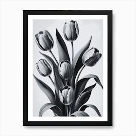 Black And White Tulips 8 Art Print