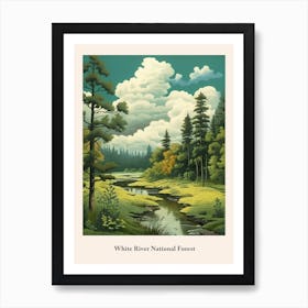 White River National Forest Art Print