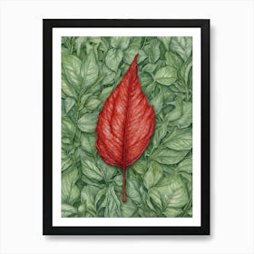 Red Leaf Art Print