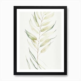 White Willow Leaf Minimalist Watercolour 4 Art Print