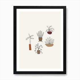 Plants And Pots 2 Art Print