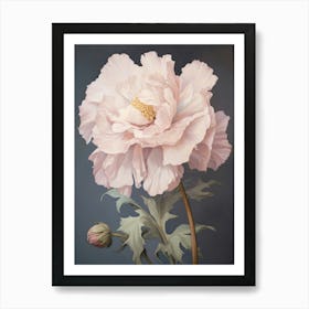 Floral Illustration Peony 3 Art Print