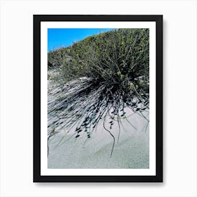 Sand Dune and Grass at the Beach Art Print