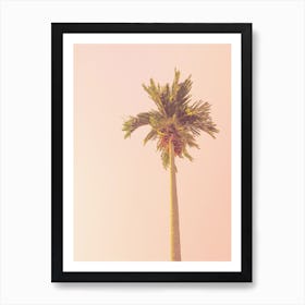 Pink Palm Tree Sunset Art Print