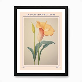 Lily French Flower Botanical Poster Art Print