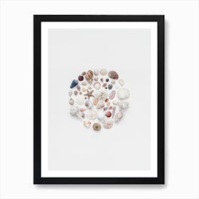 Treasures From The Ocean Art Print