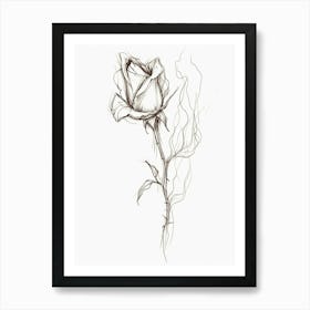 English Rose Burning Line Drawing 3 Art Print
