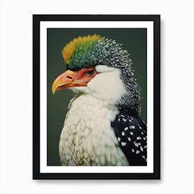 Ohara Koson Inspired Bird Painting Crested Caracara 1 Art Print