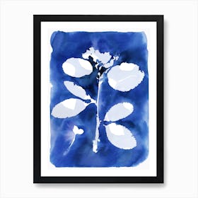 Cyanotype Botanical 2 Art Print