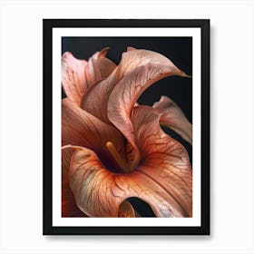 Orange Flower 4 Art Print