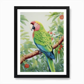 Ohara Koson Inspired Bird Painting Macaw 1 Art Print