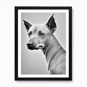 Xoloitzcuintli B&W Pencil Dog Art Print
