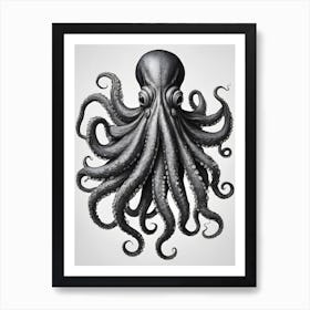 Octopus 6 Art Print