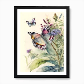 Butterfly In Botanical Gardens Watercolour Ink 1 Art Print