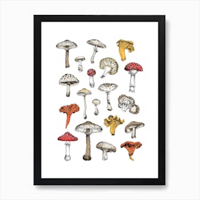 Funghi Art Print