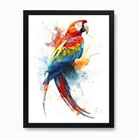 Colorful Parrot Colorful Illustration Art Print