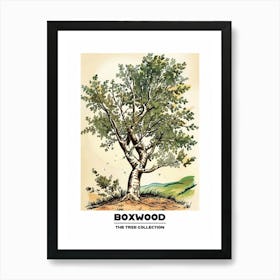 Boxwood Tree Storybook Illustration 3 Poster Art Print