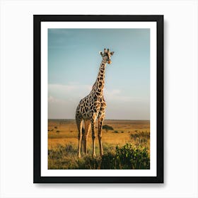 Giraffe 1 Art Print