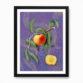 Vintage Peach Botanical Illustration on Veri Peri n.0512 Art Print