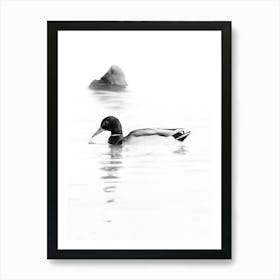 A Black And White Duck And A Rock In The Water With A Reflection Art Print