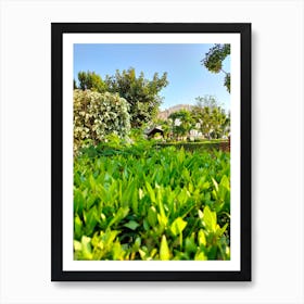 Garden With Trees And Shrubs in winter, Summer, Spring blossom floral and beautiful botanical gardens and green leaves Art Print