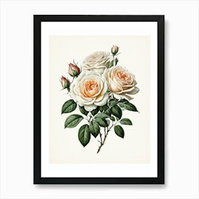 Vintage Galleria Style Rose Art Painting 12 Art Print