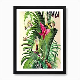 Jungle Botanicals 2 Botanical Art Print