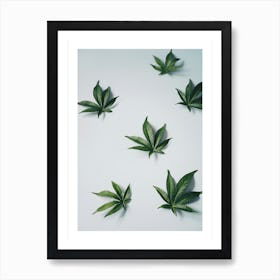 Cannabis Plants Art Print