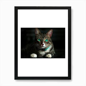 Cat With Green Eyes Art Print