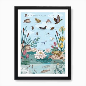 British Pond Life Art Print