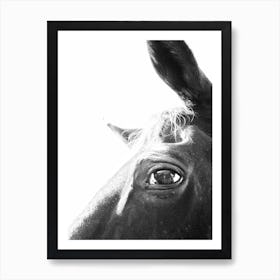 Black And White Horse Portrait 3 Art Print