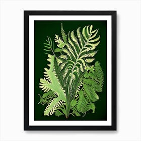 Lady Fern 5 Vintage Botanical Poster Art Print