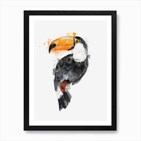 Toucan Art Print