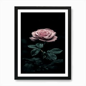 Dark Rose 125 Art Print