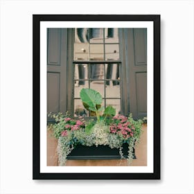 Charleston Blooms on Film Art Print