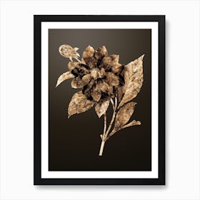 Gold Botanical Double Dahlias on Chocolate Brown n.2525 Art Print