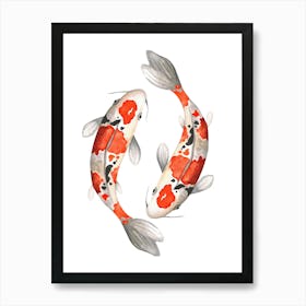 Koi Fish Affiche