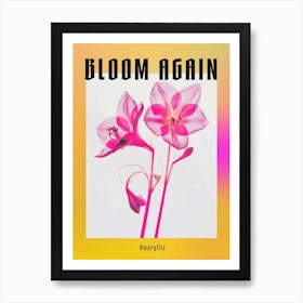 Hot Pink Amaryllis 5 Poster Art Print