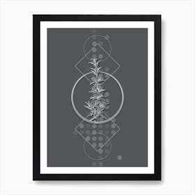 Vintage Rosemary Botanical with Line Motif and Dot Pattern in Ghost Gray n.0068 Art Print