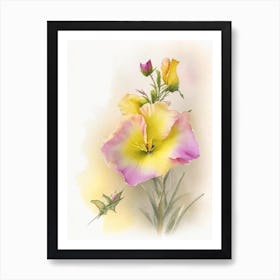 Evening Primrose Wildflower Watercolour 1 Art Print