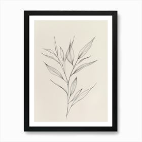 Drawing Of A Leaf 2 Art Print