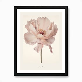 Floral Illustration Tulip 3 Poster Art Print