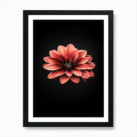 Dahlia Flower 19 Art Print