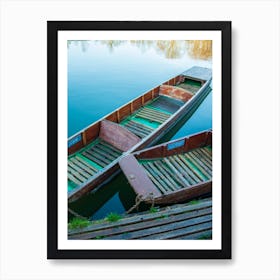 Cambridge Punts Poster