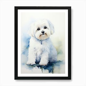 Water colour Maltese Dog Art Print