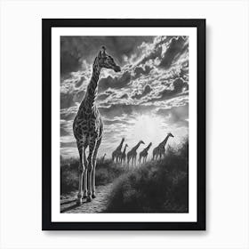 Herd Of Giraffes In The Sun Pencil Drawing 3 Art Print