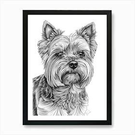 Yorkshire Terrier Dog Line Sketch 3 Art Print